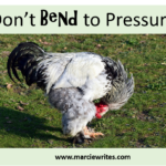 Don't Bend to Pressure - Marcie Writes